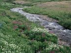 اسم الملف=Creek.jpg
حجم الملف=258كيلوبايت
الأبعاد=1024x768
تاريخ الإضافه=تشرين الثاني 30, 2008 Creek.jpg